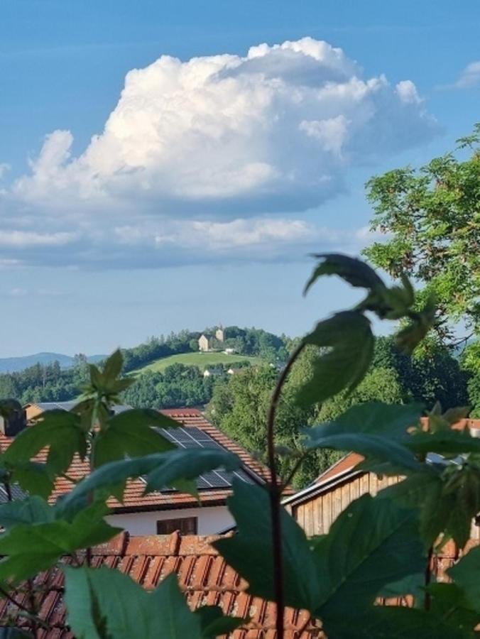 Ferienwohnung Augustin Kirchberg  المظهر الخارجي الصورة